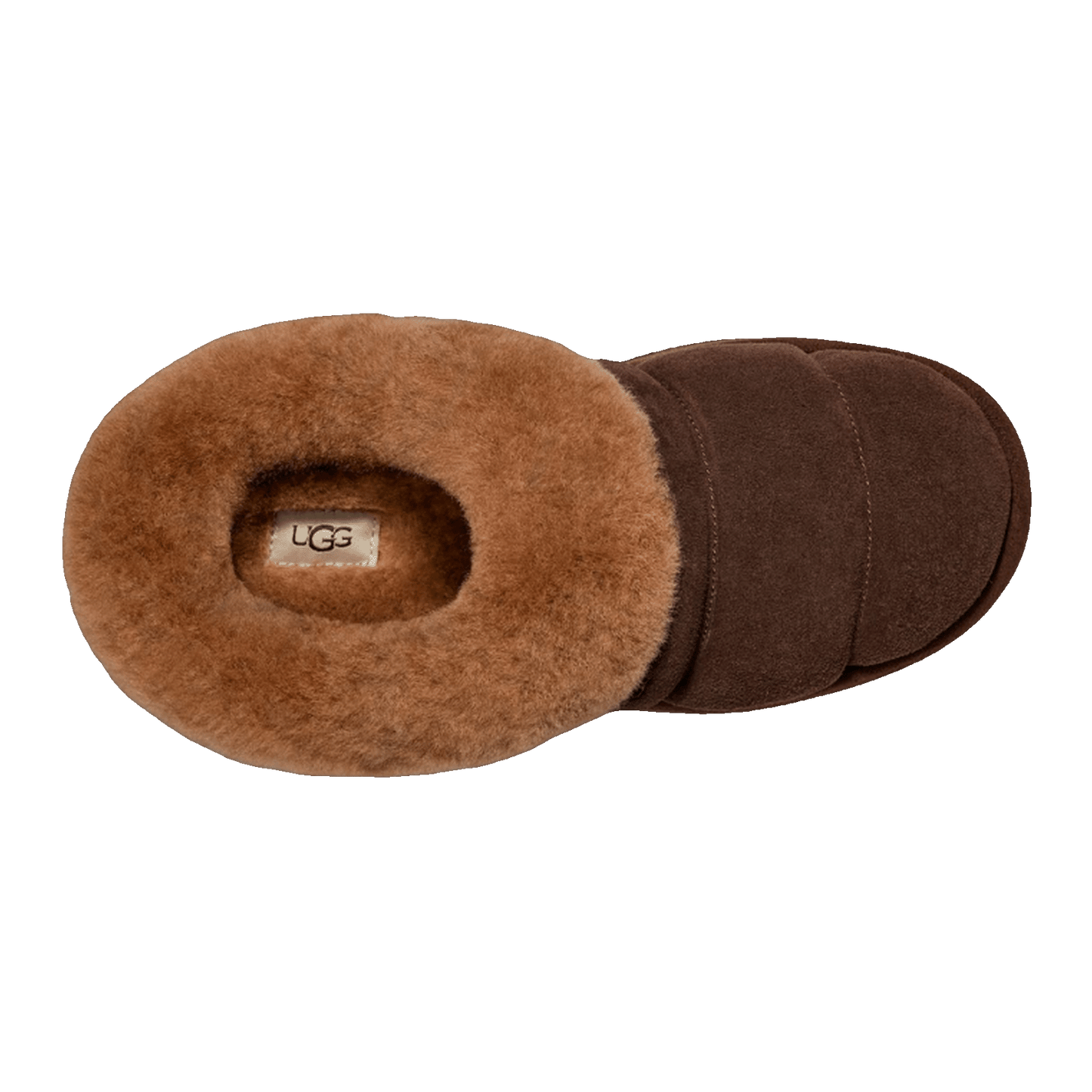 UGG Tazzlita Slipper Hardwood (W) Oben