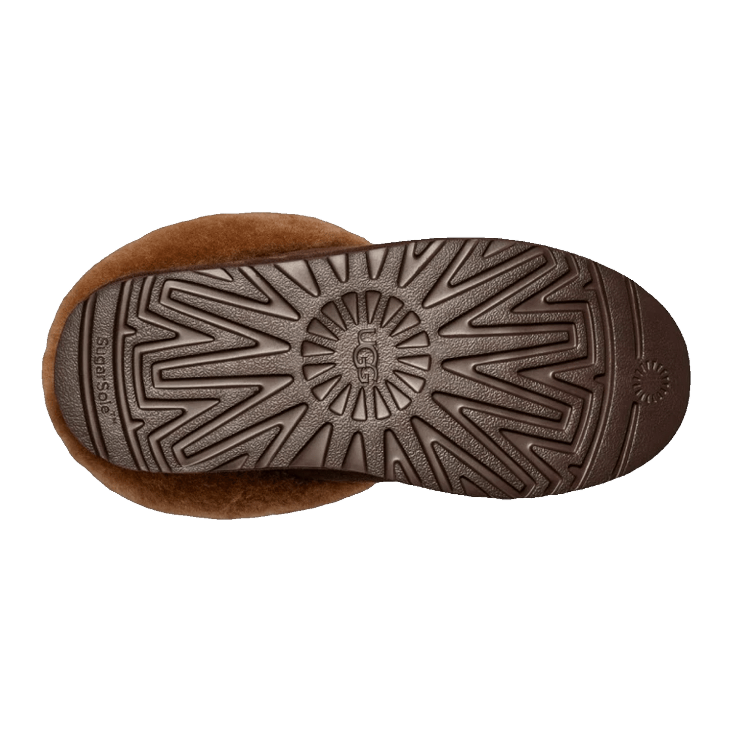 UGG Tazzlita Slipper Hardwood (W) Sohle